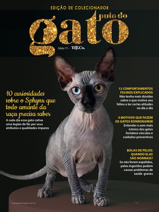 Cover image for Pulo do Gato